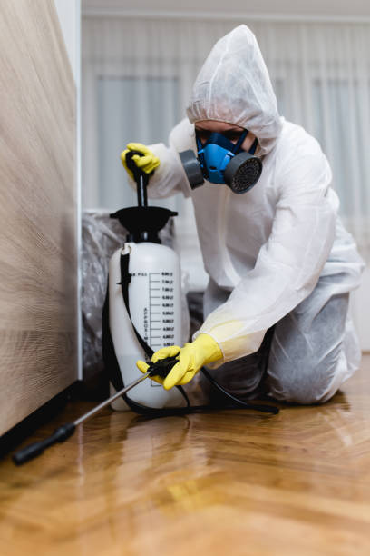 Pest Control for Hotels in New Tazewell, TN